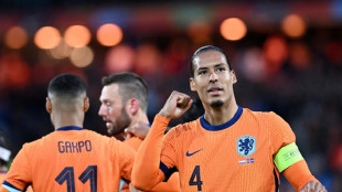 Van Dijk says poor pitch for Dutch Euros opener 'a shame'
