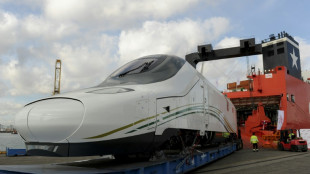 La OPA húngara sobre el fabricante de trenes español Talgo preocupa al gobierno español