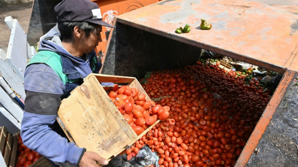 Cochabamba, "le grenier de la Bolivie" asséché par les blocages