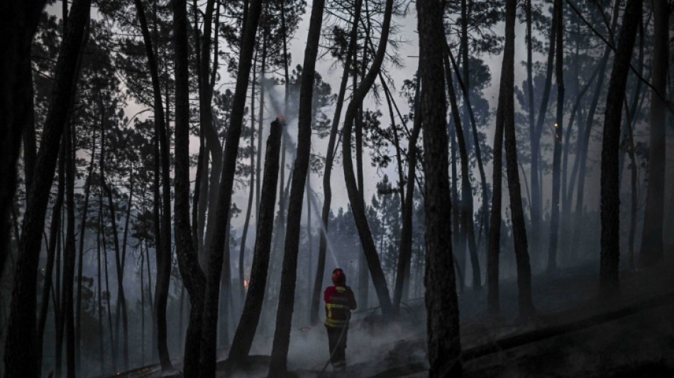 Portugal ächzt unter Hitzewelle und kämpft gegen Waldbrände