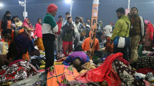 15 dead in India stampede at Hindu mega-festival