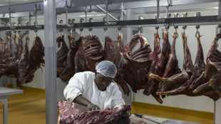 Afrique du Sud: appel aux amateurs de viande de zèbre et de gnou