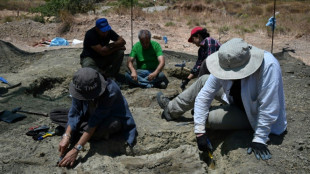 Descubren los fósiles de diez hipopótamos enanos en la isla griega de Creta