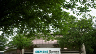 El fabricante eólico Siemens Gamesa suprimirá 2.900 empleos en todo el mundo