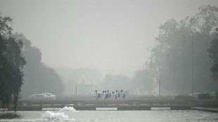 New Delhi dans le brouillard, premier pic de pollution de la saison