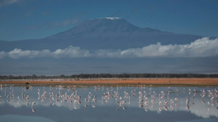 Yellowstone, Kilimanjaro glaciers among those set to vanish by 2050: UNESCO