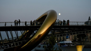 Paris celebrates night-time art festival 