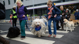Russian dogs absent as Crufts returns