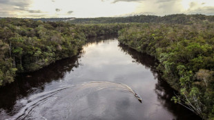 Indígenas colombianos vs créditos de carbono: o lado obscuro da geopolítica ambiental