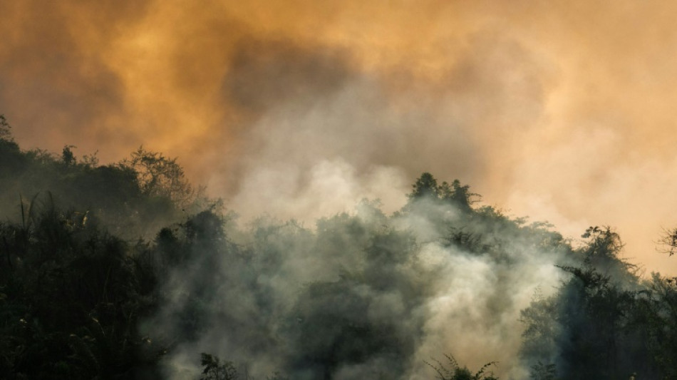 Sequía e incendios fuera de serie preocupan al sector agrícola en Brasil