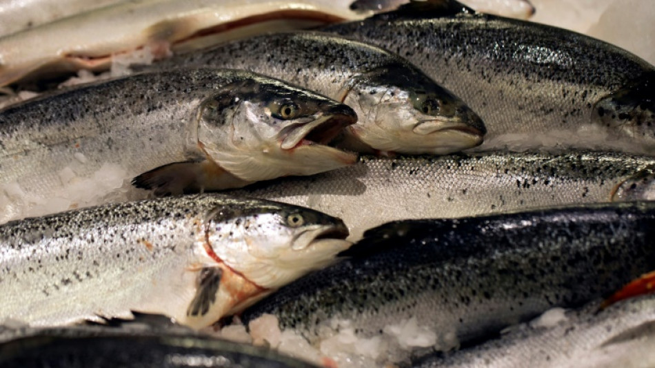 Norway limits wild salmon fishing as stocks hit new lows