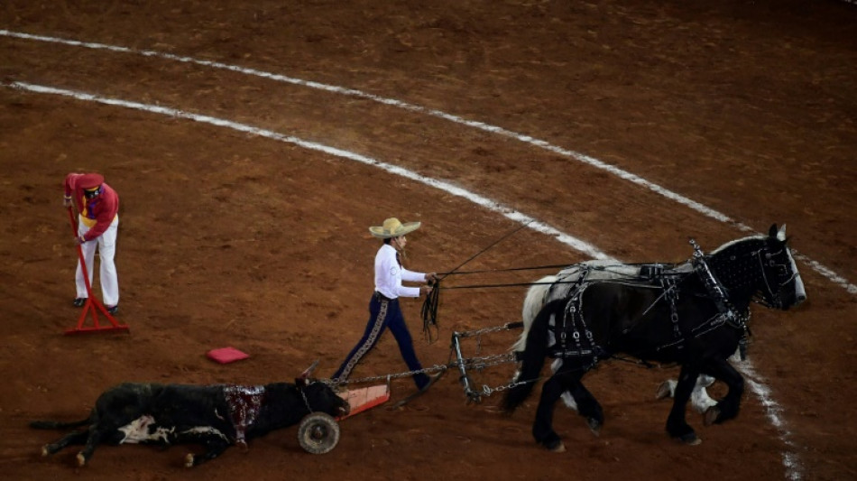 Juez suspende indefinidamente las corridas de toros en mayor plaza de México