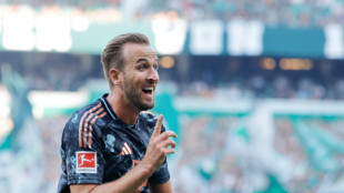 Kane, Olise run riot as Bayern thump Bremen