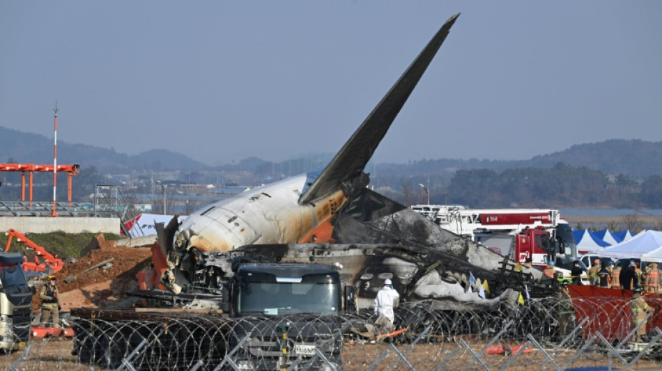 Investigadores de avión estrellado en Corea del Sur encuentran plumas en los motores, según medios