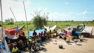 South Sudan to face its worst hunger crisis yet: WFP
