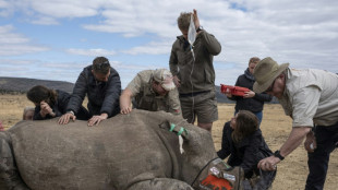 First radioactive rhino horns to curb poaching in S.Africa