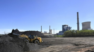 Centrale à charbon de Saint-Avold: les élus écrivent à Macron, le site bloqué