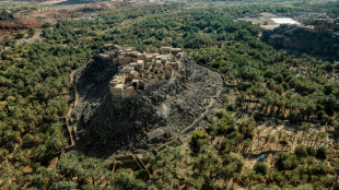 4,000-year-old town discovered hidden in Arabian oasis