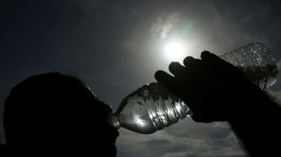 Les microplastiques, pas fantastiques pour la santé humaine