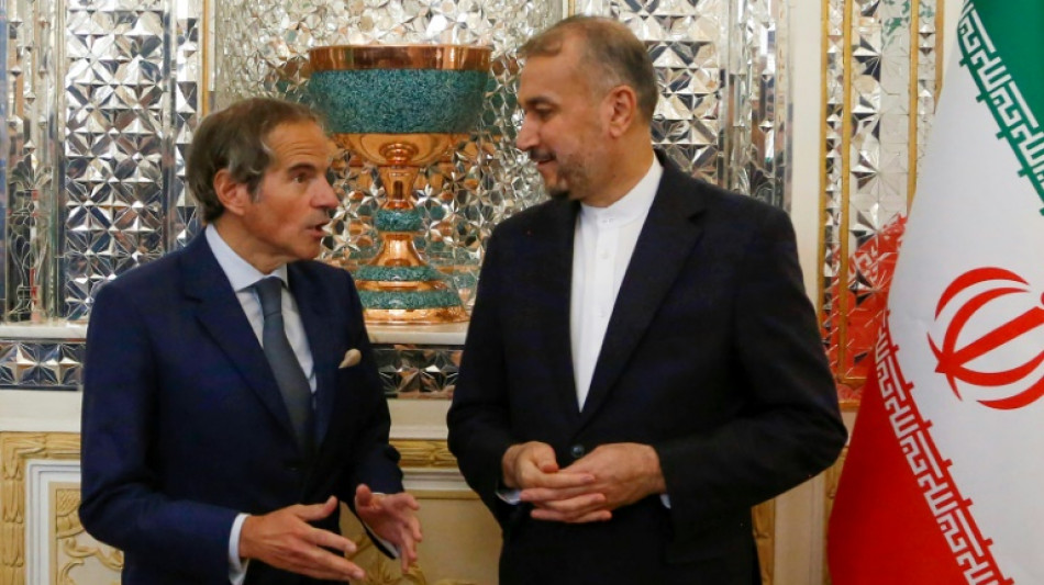 Las discusiones entre Irán y el OIEA se suspendieron tras la muerte del presidente Raisi