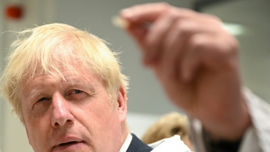 UK's Johnson steers clear of endorsing successor