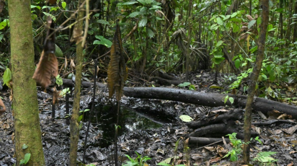 "Ca suffit": l'indignation des peuples de l'Amazonie équatorienne face à l'extraction pétrolière