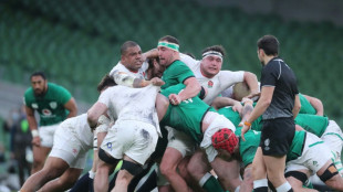 Tournoi des six nations: l'Irlande dans le viseur anglais