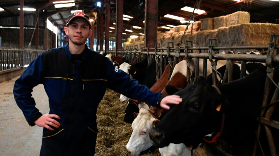 Dans les Vosges, le désarroi de producteurs laitiers face au retrait de Lactalis