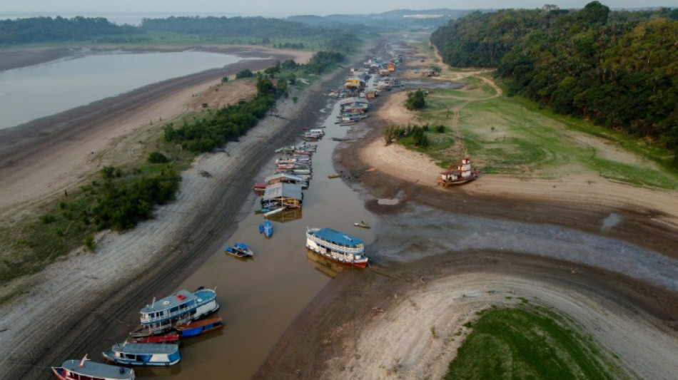 Planeta registra 12 meses seguidos de temperatura 1,5ºC acima da era pré-industrial