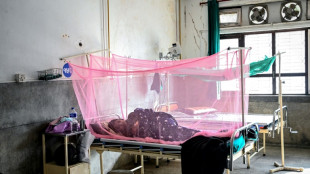 Climate shifts and urbanisation drive Nepal dengue surge