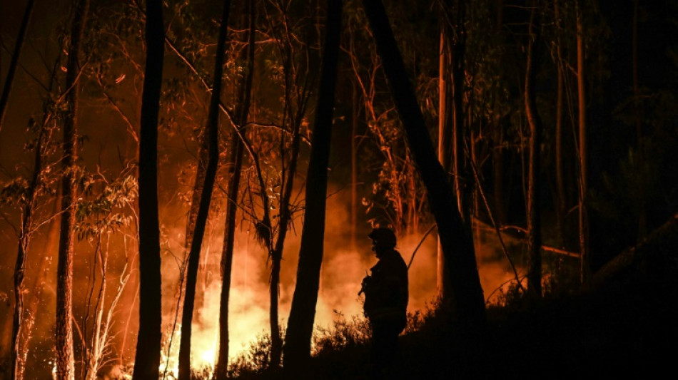 Le Portugal en proie à la canicule et aux feux de forêt
