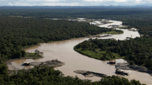 COP16, una cita mundial en Colombia para cumplir los compromisos sobre biodiversidad