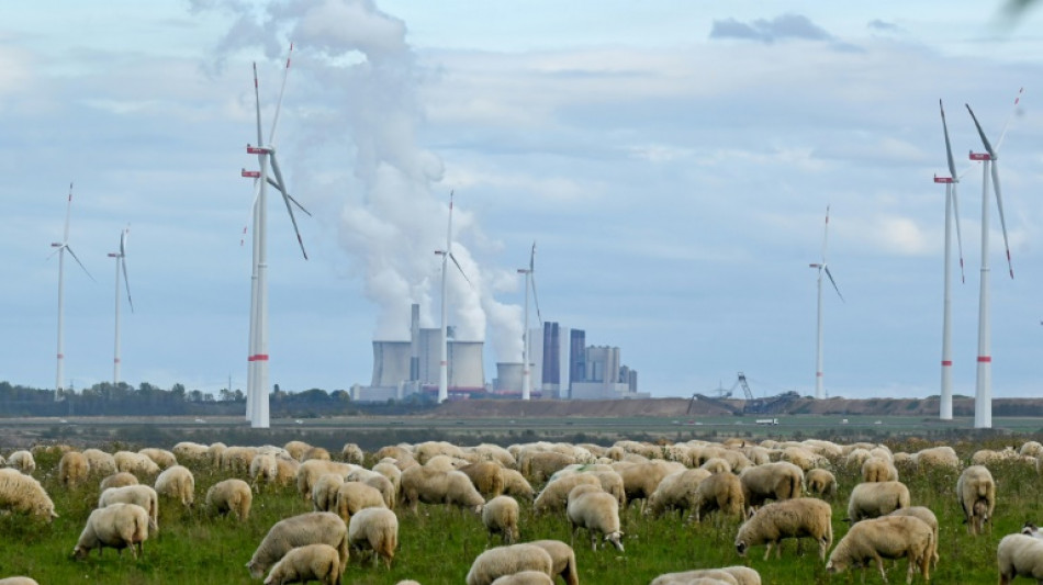 IEA sees global energy emissions peaking in 2025