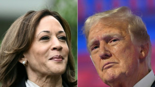 Trump e Kamala estão acirrados nas pesquisas presidenciais dos EUA