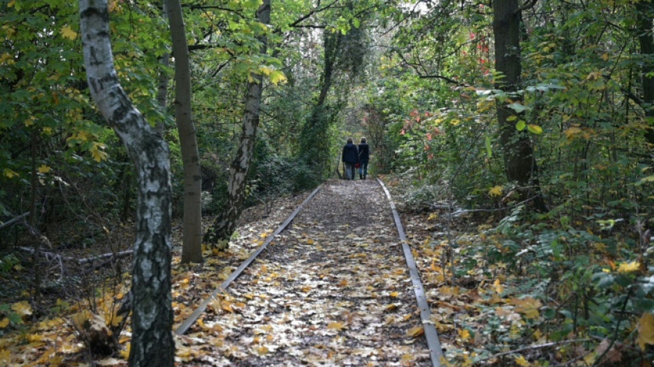 Neben dem Holzbock verbreiten sich auch andere Zeckenarten in Deutschland