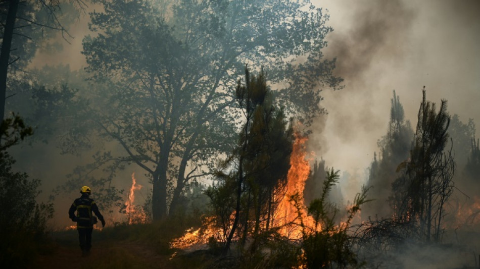 Festnahme wegen Verdachts der Brandstiftung bei Waldbrand in Westfrankreich