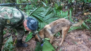 Achadas vivas quatro crianças após 17 dias perdidas na Amazônia colombiana