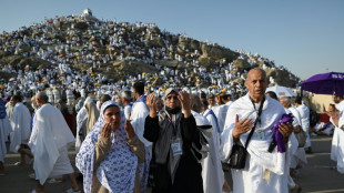 Muslim pilgrims pray on Mount Arafat in hajj climax