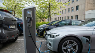 Norwegen: Mehr zugelassene E-Autos als Benziner - Diesel aber weiter vorn