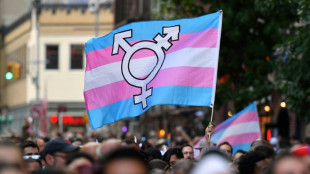 Texas court temporarily halts investigation of transgender minor