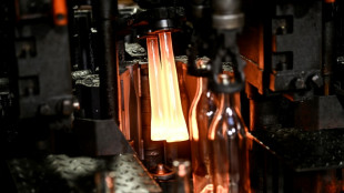 Près de Cognac, la filière verre pose la première brique de sa stratégie de décarbonation