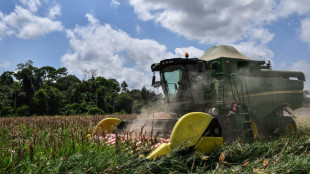 Ukraine: le Brésil va exporter plus de maïs, mais craint de manquer d'engrais russes