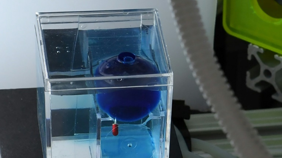 California start-up sends tiny robots on voyage into brains