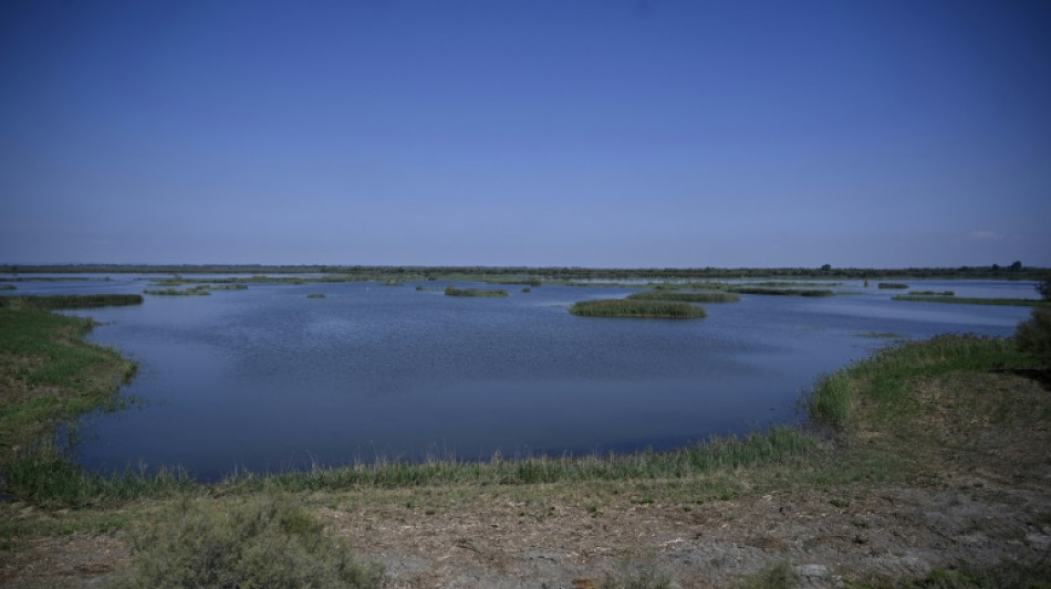 Las negociaciones sobre biodiversidad se abren en Ginebra