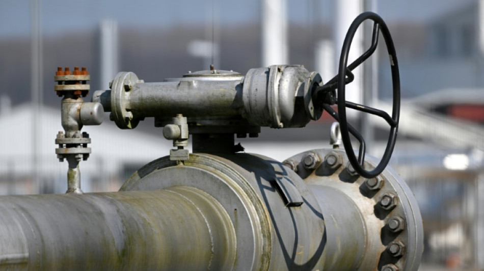 Einfuhrstopp für russisches Gas bleibt umstritten