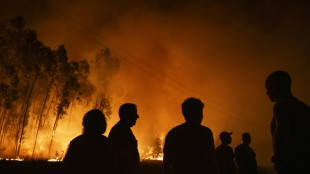 Les incendies au Portugal en passe d'être maîtrisés