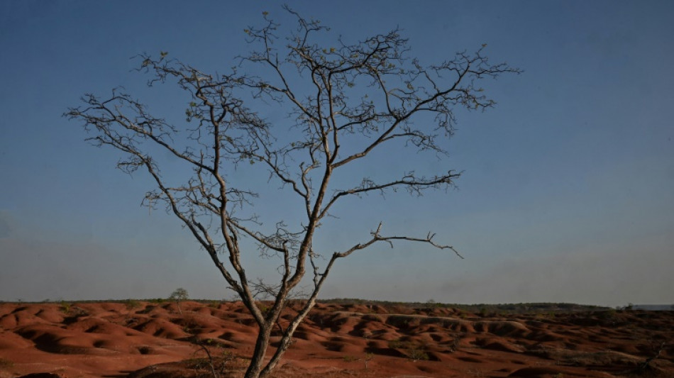 In Brazil town turning to desert, farmers fight to hang on