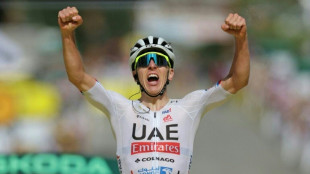 Pogacar 'hits hard' in Alps to reclaim Tour de France lead