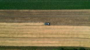 Zukunftskommission: Politik ist bei Umbau der Landwirtschaft nicht weit gekommen