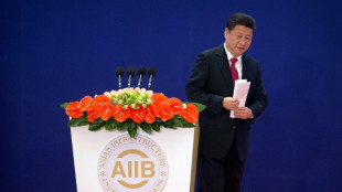 China-backed bank halts lending to Russia, Belarus